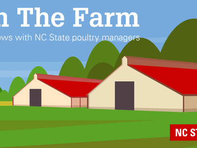 On The Farm series graphic representing poultry houses