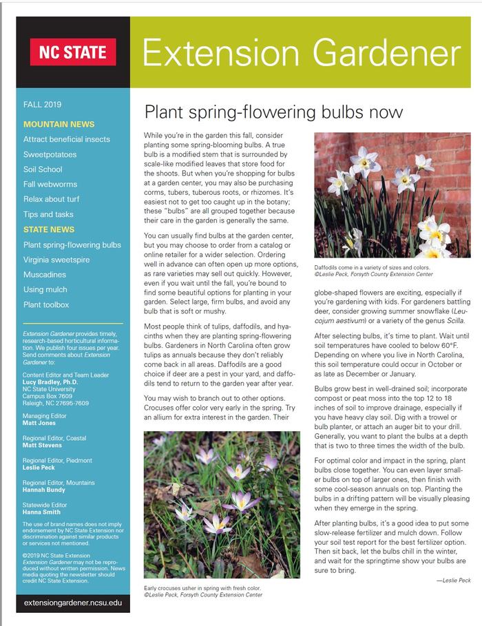 Extension Gardener newsletter
