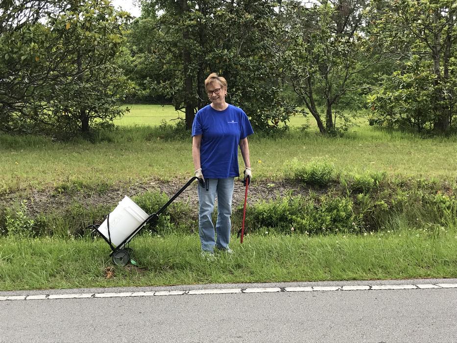 Volunteer at a Big Sweep Cleanup.
