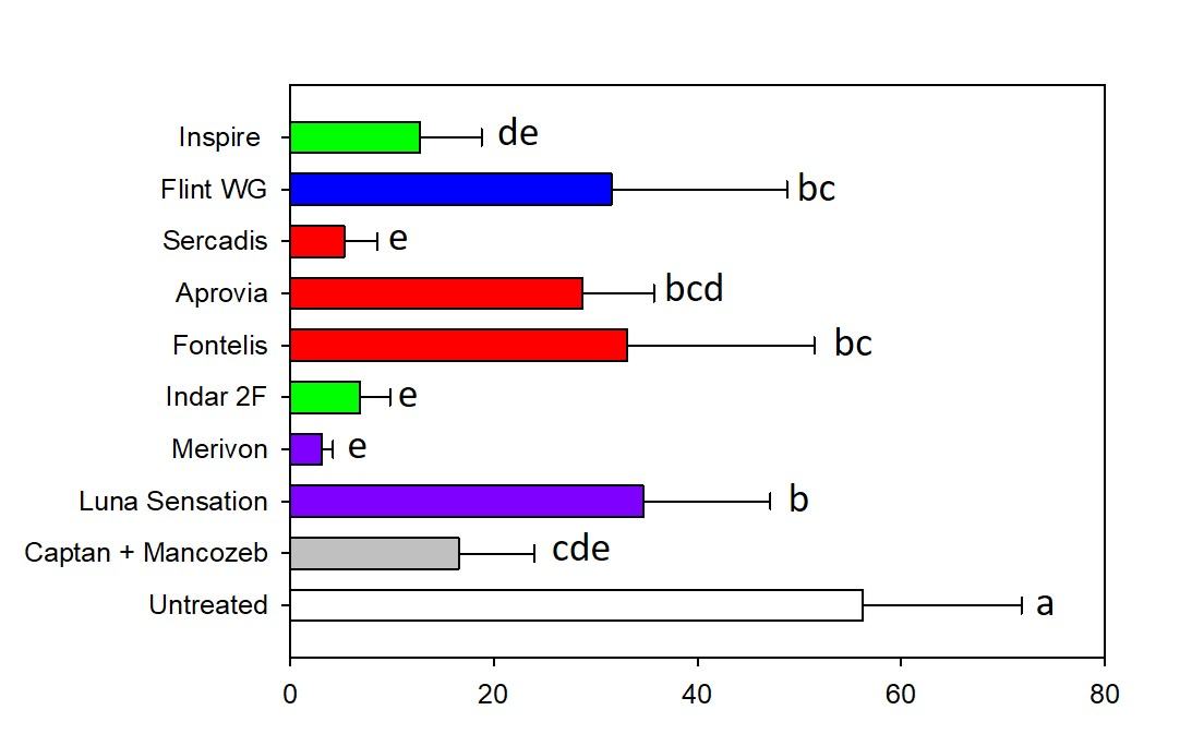Incidence of Marssonina Blotch on 'Rome Beauty', 2019