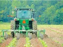 image of a farmer on a tractor in a field of row crops.