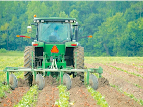 image of a farmer on a tractor in a field of row crops.