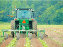 image of a farmer on a tractor in a field of row crops.