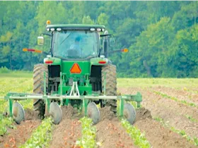 image of a farmer on a tractor in a field of row crops.