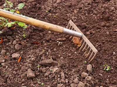 raking garden soil