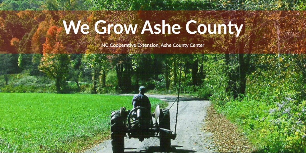 We Grow Ashe County flyer
