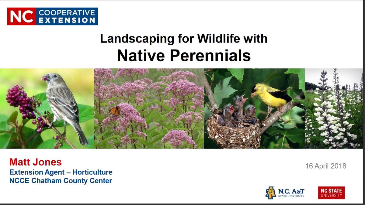 Cover Slide for Native Perennials