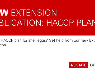 red and white title image