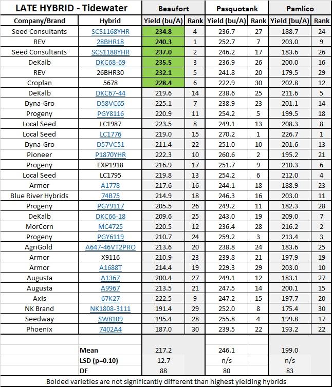 Tidewater summary report