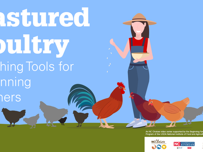 Pastured Poultry series featured graphic