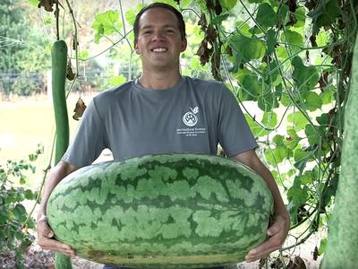 Brandon Huber holding a giant watermelon