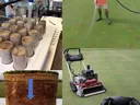 pesticide fate study