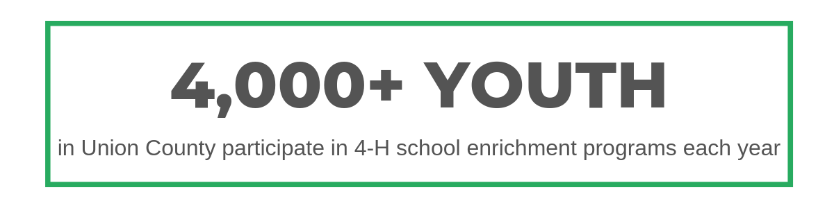 4000 plus youth are currently participating in school enrichment programs with union county 4-h
