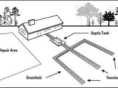 septic field