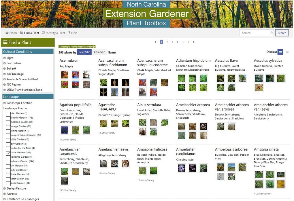 Screen shot of plant toolbox website