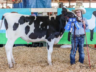 boy with calf