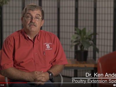 sample frame from a video with Ken Anderson