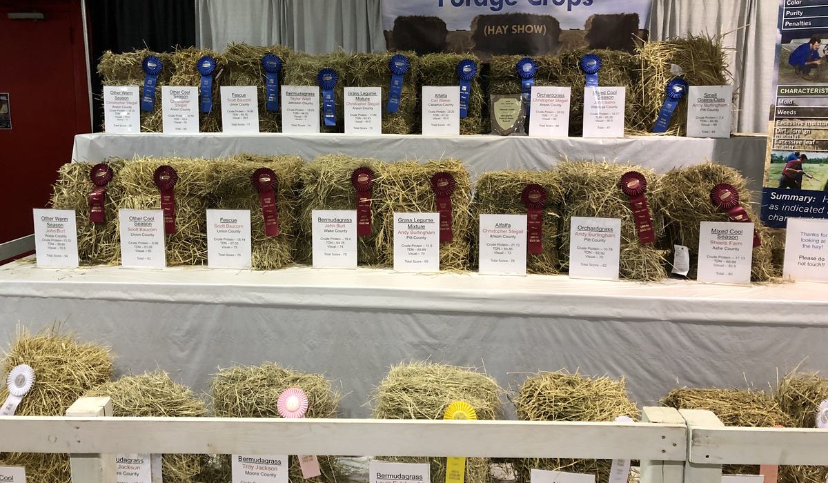 Showmaster Hay Update - 2021 State Fair Hay Show Contest - Forages | NC State Extension