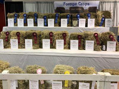 Image of hay show