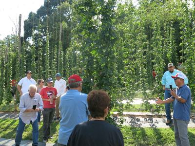 people standing in front of hop plants