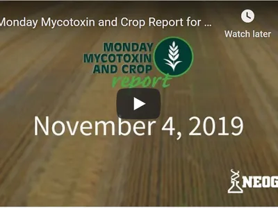 mycotoxin video update start screen
