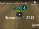 mycotoxin video update start screen