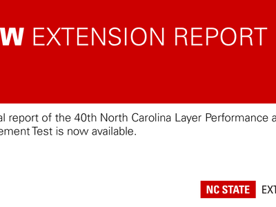 red and white graphic announcing a new Extension report
