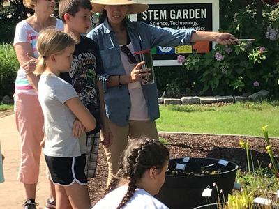 Students observe carnivorous plants at the Wilson Botanical Gardens.