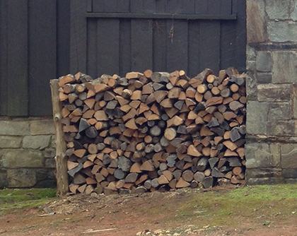 Firewood can harbor overwintering pests.