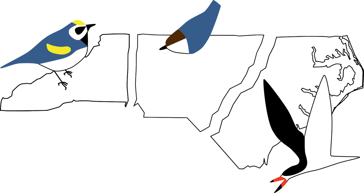 New birding trail logo 12/2019