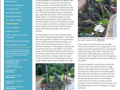 NC State Extension Gardener newsletter: "Crevice gardens add interest and save water"