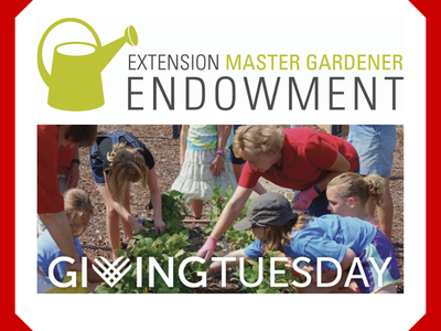 Master Gardener volunteer planting vegetables with children