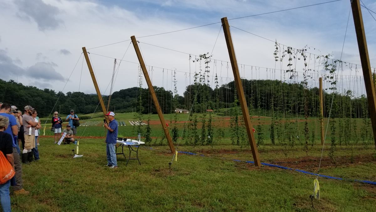 People in front of a hop yard.