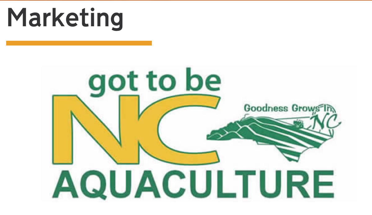 NCDA Aquaculture