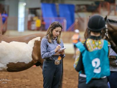 girl judging horses