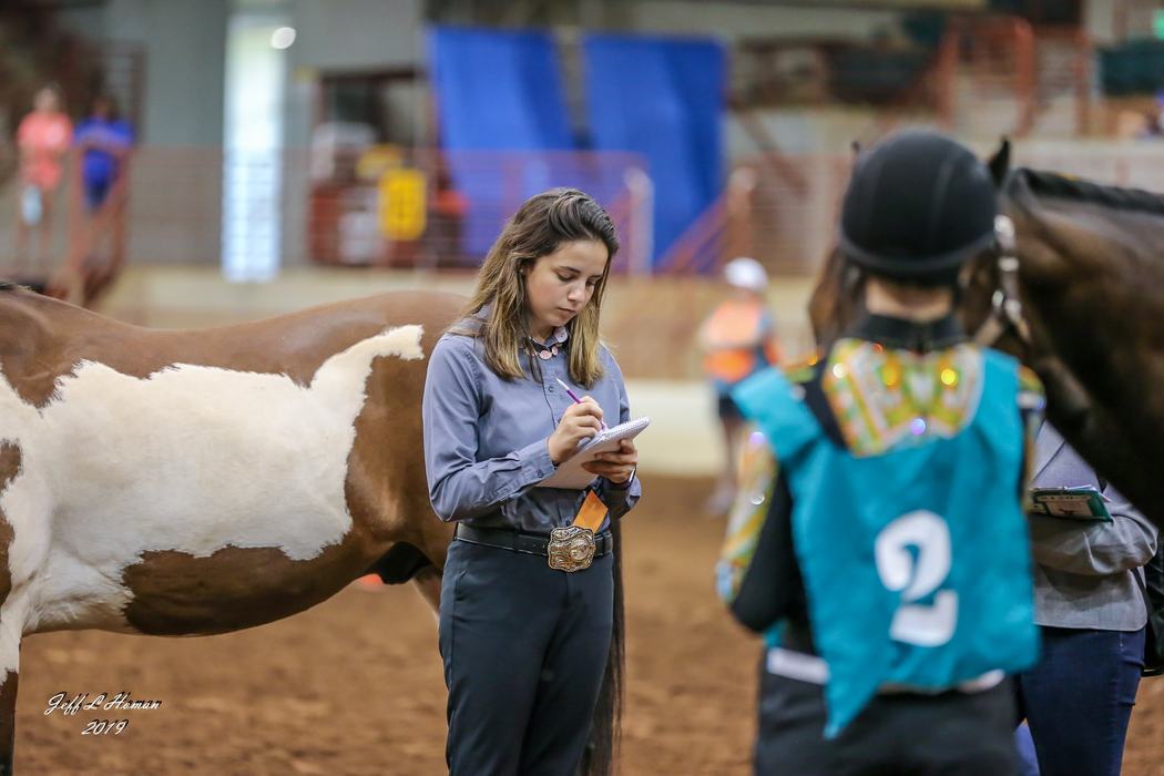 girl judging horses