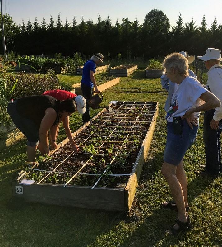 Gardeners plant into a square foot bed.