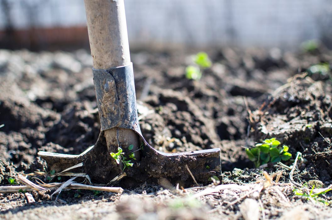 shovel going into soil