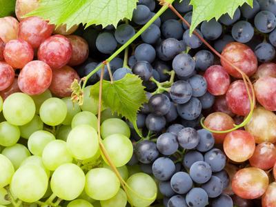 Clusters of green, red, and purple grapes with vine leaves