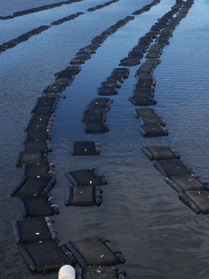 Oyster Bag Floating System