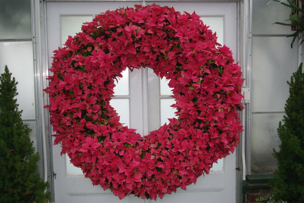 wreath