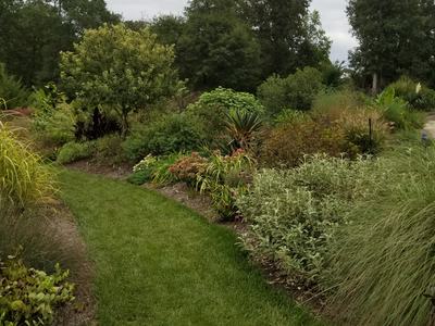 Garden path with landscaping plants on either side