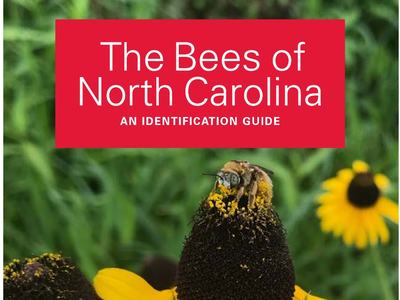 Cover of the Bees of NC