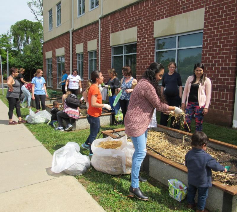 women planing raised garden beds
