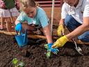 Master Gardener Pat Newcomer plants a raised bed garden with a student.