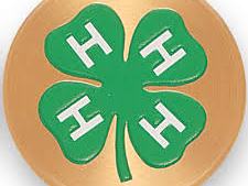 Green four-leaf clover with white H on each leaf on a gold circular background