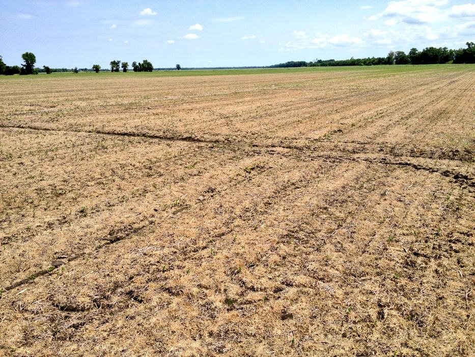 Image of field