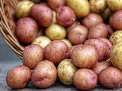 Image of a photo of red and white potatoes overflowing from a basket