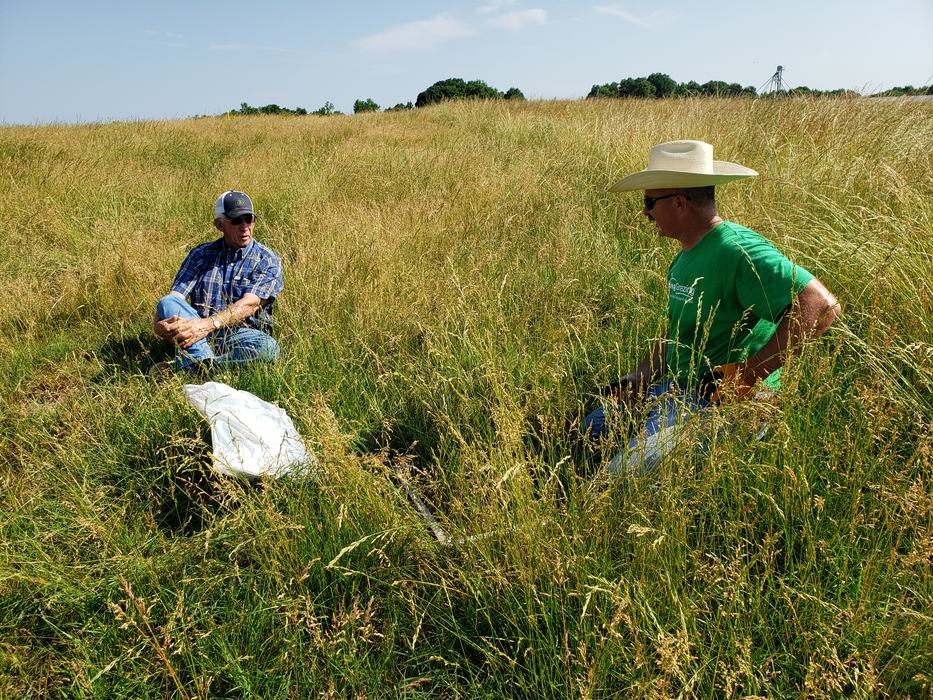 two men in field