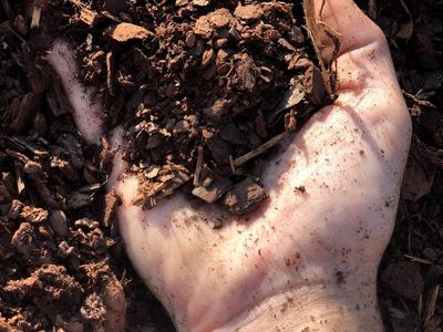 Hand full of Mulch
